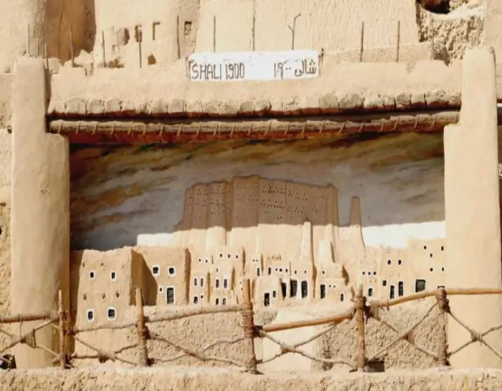 4 Days in Paradise: Unwind and Explore Siwa Oasis